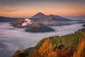101 Bromo